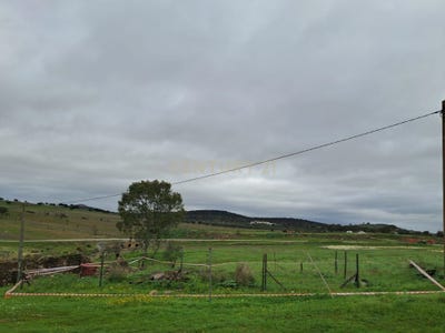 /international/pt/moreanes-7750-mertola-santana-de-cambas-portugal-santana-de-cambas-beja-310108515883/