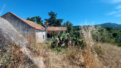 /international/pt/setubal-sao-juliao-setubal-municipality-310100661921/