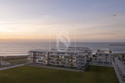 /international/pt/canidelo-porto-310108429833/