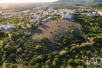 /international/pt/faro-faro-310103456487/