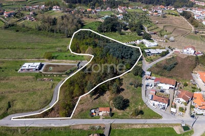 /international/pt/celorico-de-basto-braga-310106626609/