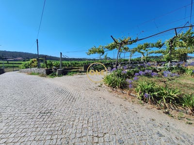 /international/pt/chorente-braga-310101410927/?lang=zh-cn