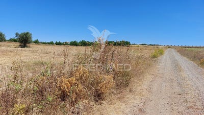 /international/pt/trigaches-e-sao-brissos-beja-beja-120093092289/
