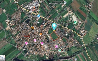 /international/pt/golega-santarem-310097873632/?lang=zh-tw