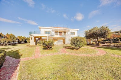 /international/pt/porto-braga-310109074503/