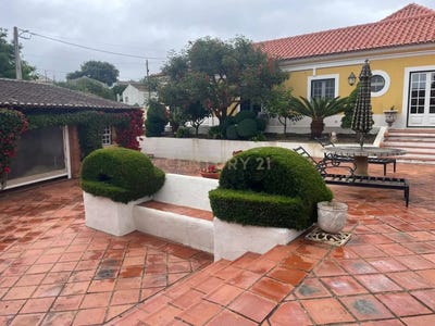 /international/pt/rua-das-chafueiras-portugal-carvalhal-santarem-310106577986/