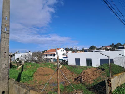 /international/pt/rua-dos-lirios-caparica-portugal-caparica-e-trafaria-setubal-municipality-310105538133/