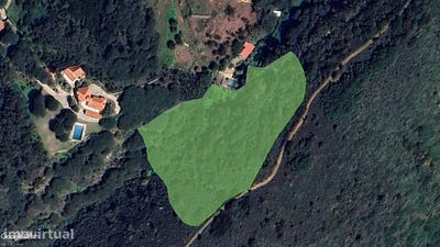 /international/pt/colares-lisbon-310104401089/
