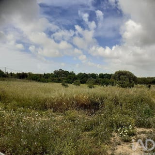 /international/pt/faro-faro-120070476188/