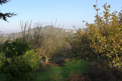 /international/pt/meca-lisbon-310108667858/