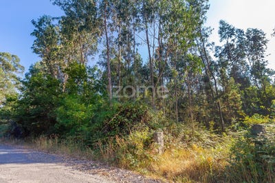 /international/pt/santo-tirso-braga-120060886651/