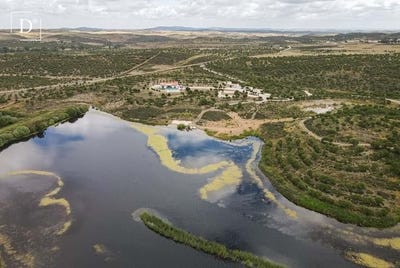 /international/pt/mertola-beja-310100762403/?lang=zh-cn