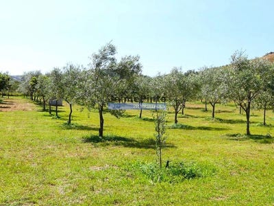 /international/pt/alfandega-da-fe-braganca-310102861149/