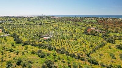 /international/pt/albufeira-faro-310105995809/