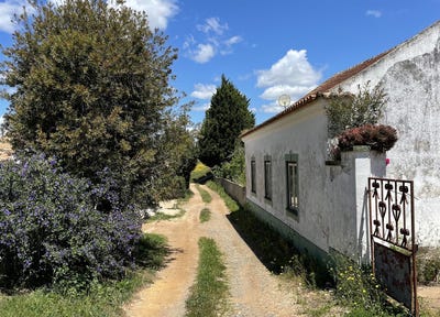 /international/pt/setubal-santiago-do-cacem-cercal-portugal-santiago-do-cacem-setubal-municipality-310100785715/