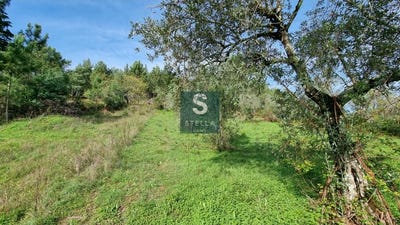 /international/pt/torres-do-mondego-coimbra-310101273078/?lang=pt