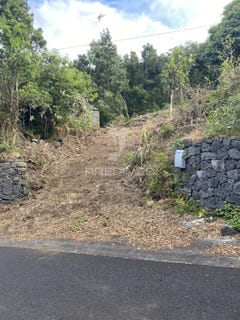 /international/pt/manadas-santa-barbara-velas-azores-310100823104/