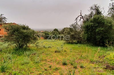 /international/pt/silves-faro-120091185267/?lang=zh-tw