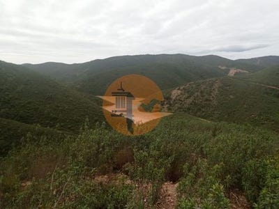 /international/pt/silves-faro-310106545719/