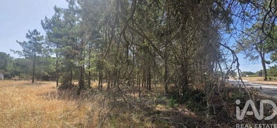 /international/pt/sesimbra-castelo-setubal-municipality-310106446638/