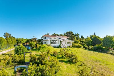 /international/pt/santo-antonio-da-serra-madeira-310106069040/