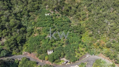 /international/pt/faial-madeira-310104963114/