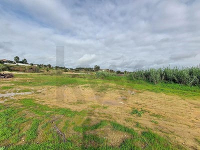 /international/pt/santarem-santarem-310101107385/?lang=zh-tw