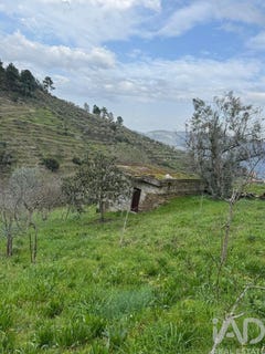 /international/pt/viseu-viseu-310106413079/