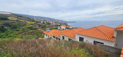 /international/pt/gaula-madeira-310104859023/
