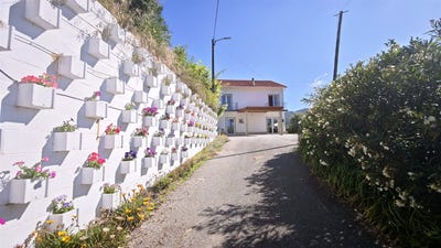 /international/pt/ribas-porto-310108866821/