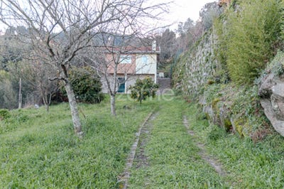/international/pt/cinfaes-viseu-310104041893/