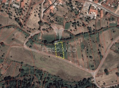 /international/pt/arneiro-das-milharicas-santarem-santarem-310106743911/