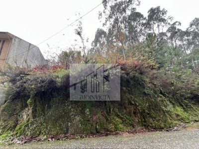 /international/pt/pedroso-porto-310103663652/