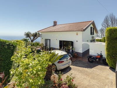 /international/pt/faja-da-ovelha-madeira-310109202006/?lang=es