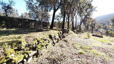 /international/pt/castelo-branco-braganca-310105966334/