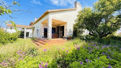 /international/pt/sao-pedro-coimbra-310100387511/