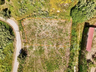/international/pt/santo-isidoro-lisbon-310107970012/