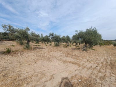 /international/pt/uniao-das-freguesias-de-escalos-de-baixo-e-mata-portugal-escalos-de-baixo-castelo-branco-310105185287/?lang=de