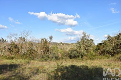/international/pt/santarem-santarem-310106625707/