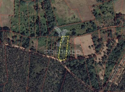 /international/pt/arneiro-das-milharicas-santarem-santarem-310106742825/