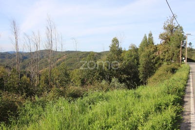 /international/pt/monchique-faro-120091307512/