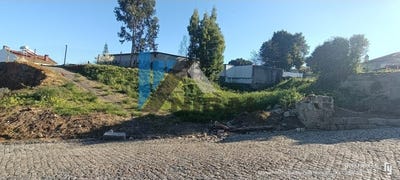 /international/pt/canelas-aveiro-310107358389/