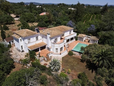 /international/pt/algoz-faro-310108989460/