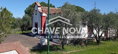 /international/pt/silves-faro-310107759382/