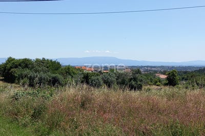 /international/pt/viseu-viseu-120087525649/