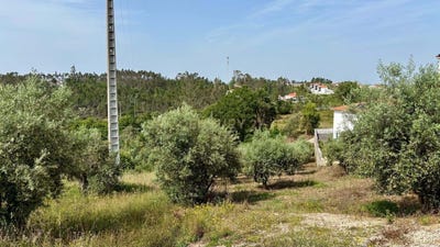 /international/pt/r-sr-dos-aflitos-185-2420-046-arrabal-portugal-arrabal-guarda-310108403197/