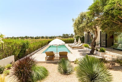 /international/pt/comporta-setubal-municipality-310109127890/