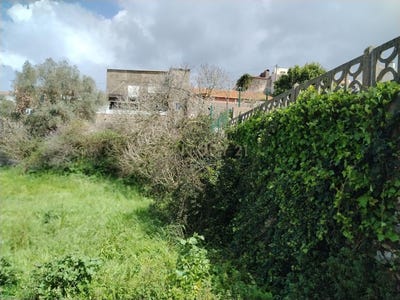 /international/pt/maiorga-leiria-310098266454/