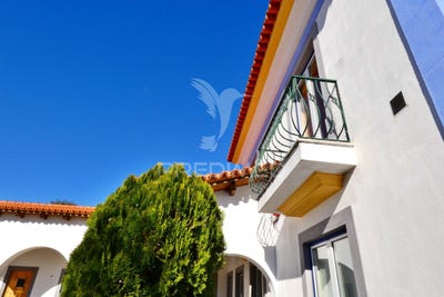 /international/pt/raposa-almeirim-beja-310096375385/