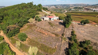/international/pt/r-do-alto-62-2565-freiria-portugal-turcifal-lisbon-310103153882/